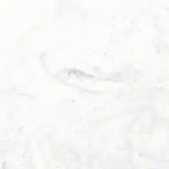 Aurora Bianco
