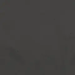 Ebony Concrete