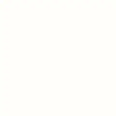 Modern White
