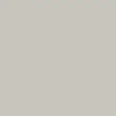 Pearl Gray